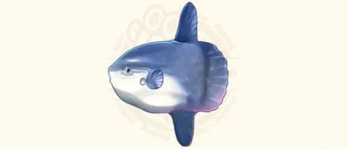 マンボウ
