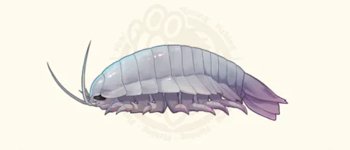 ダイオウグソクムシ