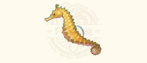 タツノオトシゴ