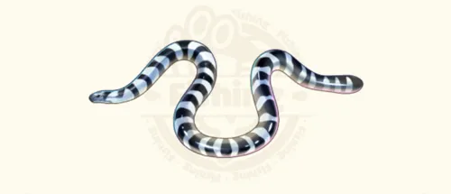 ウミヘビ