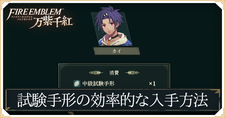 FE万紫千紅_試験手形の入手方法_アイキャッチ