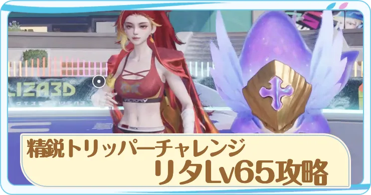 リタLv65攻略