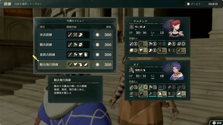 FE万紫千紅_技能レベル上げ方法2