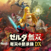 ゼルダ無双 厄災の黙示録 DX