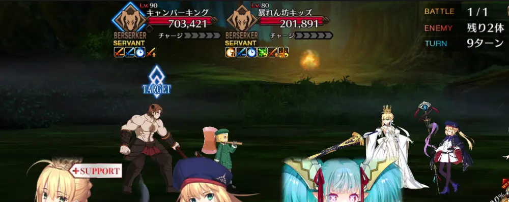 FGO_213