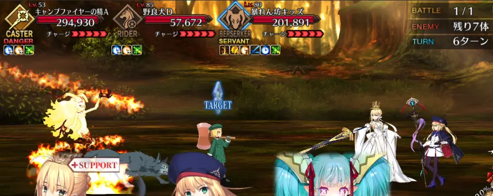 FGO_216