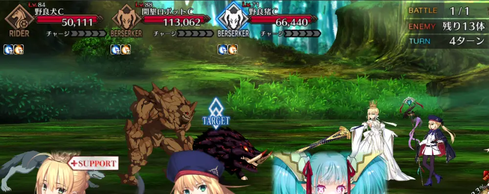 FGO_218