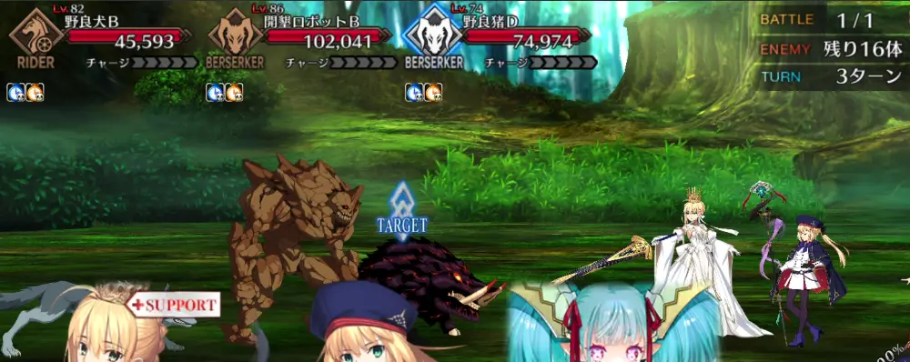 FGO_219