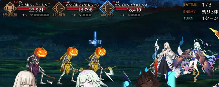 FGO_239