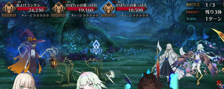 FGO_243