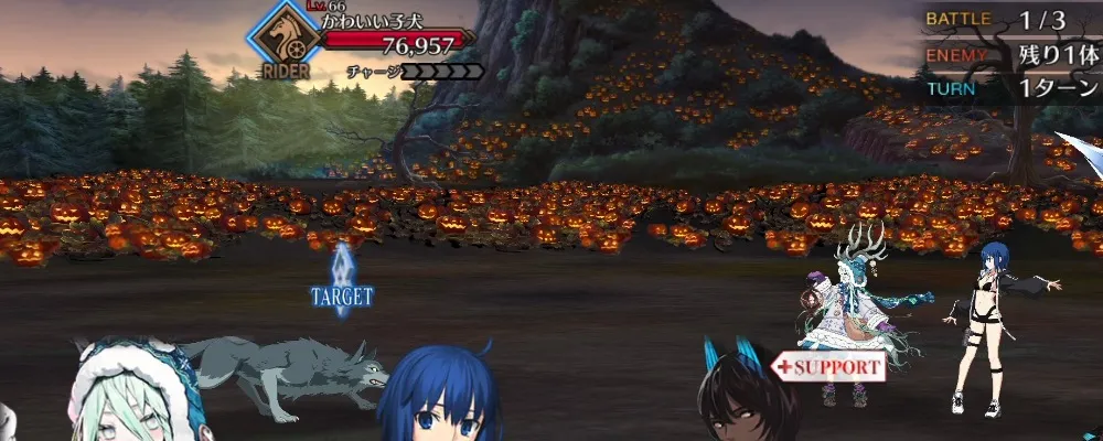 fgo 4