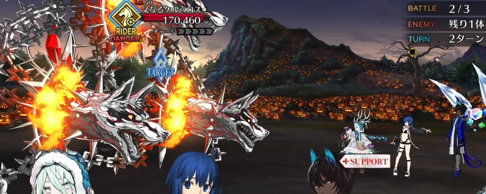fgo 5