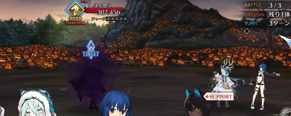 fgo 6