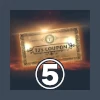 41