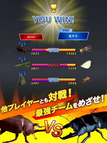 sub4_result