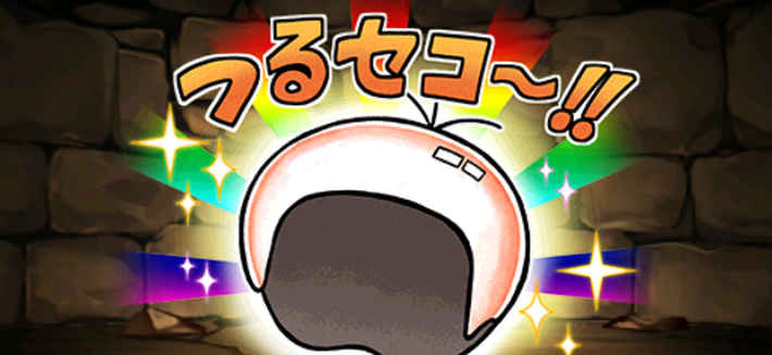 パズドラ_つるピカハゲ丸の評価と使い道