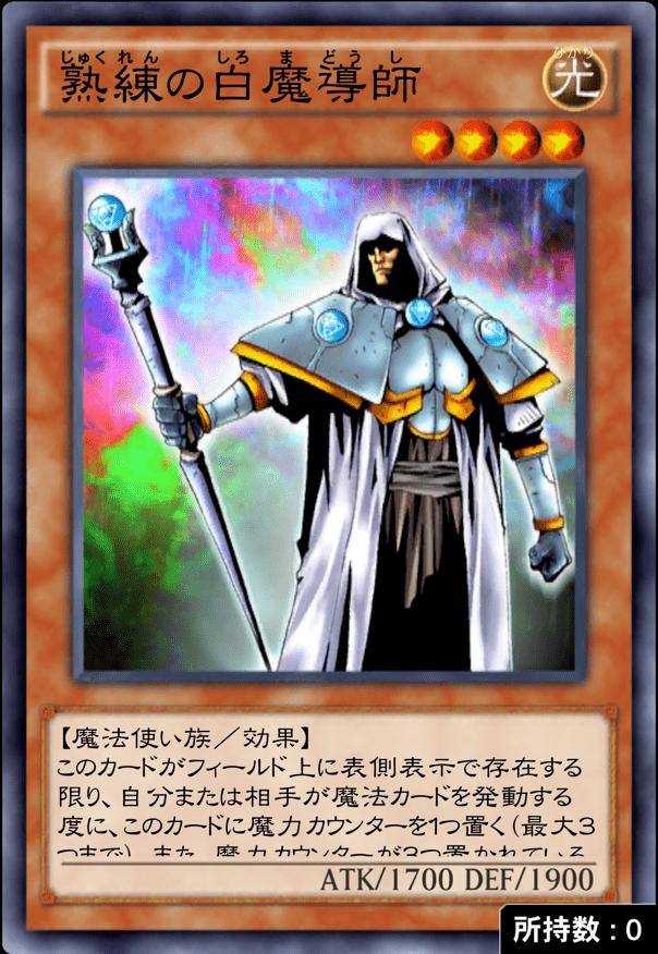 熟練の白魔導士